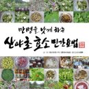 효소지음 이미지