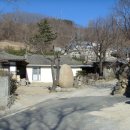 효동1리 Daum카페