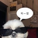 헤어트렌디