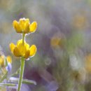 탈렌트의 비유 이미지