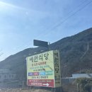 예원당구장 | 팔공산 백숙 방갈로 맛집 예원식당 오리백숙 후기