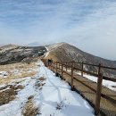 비-소-1-4 이미지