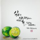 붓펜 감성 수채캘리 이미지