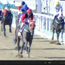 [스포츠조선배]①매직카드②누진도▶57.6배 이미지