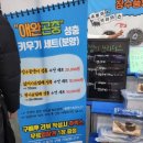 스텔라애견미용학원