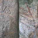 수락산 각석군 이미지