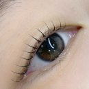 새터로 | 여수 속눈썹펌 추천 '선의미학' 시술 2주차 유지 후기