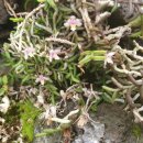 난꽃민박 이미지