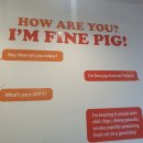 아임 파인 피그(I'm Fine Pig ) 이미지