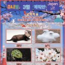 키즈키즈어린이집 이미지