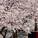 투썸플레이스 맞은편 이미지