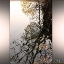 고잔공원 이미지