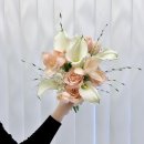 유색 본식 부케 부토니에 추천 :: 송탄 꽃집닮 웨딩부케