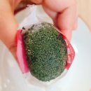 박순석찹쌀떡 (한국인의밥상쑥떡 사자발약쑥인절미 팔도밥상강화떡집)