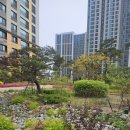 봉담2지구에이스공인중개사사무소 | [실거래 분석] 힐스테이트 봉담 프라이드시티 2026년 상반기 매매·전월세 현황