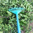 진표농장 이미지