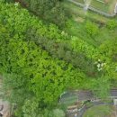 화순믿음공인중개사사무소 이미지