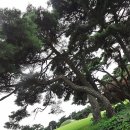 광주이씨묘역 이미지