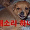 있어