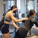 하운드짐 이미지