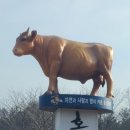 홍성(상)휴게소 네이버블로그