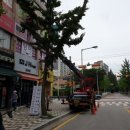 세교초교 사거리 이미지