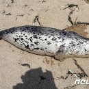 영덕경찰서 옆 이미지