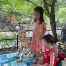 전력시설물(전주) 설치 - 2249 | 전주 근교 계곡 추천｜완주 대아리 977 아이와 물놀이 후기 (20번 평상·수심·준비물 총정리)