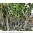 민들레샘물 지역아동센터 네이버블로그