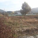 용문면사무소 이미지