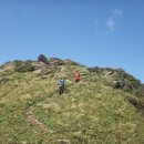 휴양림길 이미지