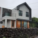 매일더탐나 이미지