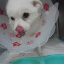 연지동물병원 이미지