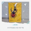 모디자인클럽 | 곤충 좋아하는 아이 취향저격, 모디자인클럽 골리앗왕꽃무지 곤충 아크릴키링 후기