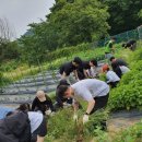 한스메디팜 | 한스메디팜에 우렁각시가 다녀가셨습니다