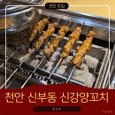 신강양꼬치 | [천안 맛집]신강양꼬치 본점 후기, 추억이 맛으로 이어지는 순간!