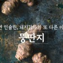 뚱딴지마을 이미지