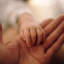 다원안경 이미지