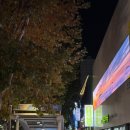 종로태양약국 이미지