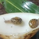 동양목욕탕 이미지