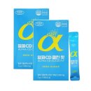 에버그린 이미지