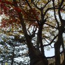 선녀계곡 이미지