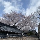 대전 우암사적공원, 나주 목사내아 / 한수제 / 영산강 체육공원, 광주 창작농성골 중외공원 다녀온 후기