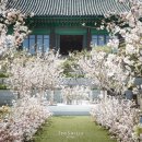 스페셜호텔 이미지