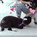 장형농장 이미지