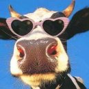 용 사슴목장 이미지