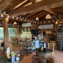 머무름 펫 이미지