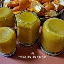 새싹의 아침 이미지