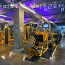동현피트니스 인지동2호점 | 서인동헬스 동현피트니스 인지동2호점 위치.시간.가격.후기