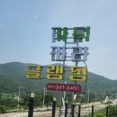 카라 | 부산글램핑&amp;수영장펜션 추천｜가덕카라 솔직 후기